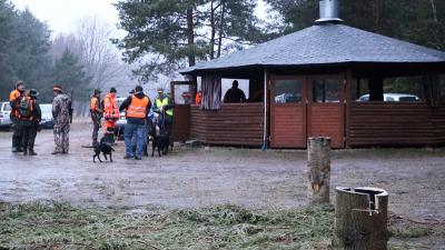 IMG_7023 (2)