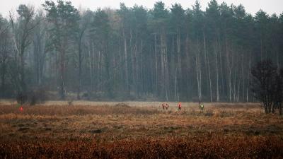 IMG_7131 (2)